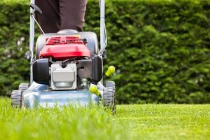 Sculpting Nature's Canvas Top Tier Expertise in Lawn Care and Landscaping
