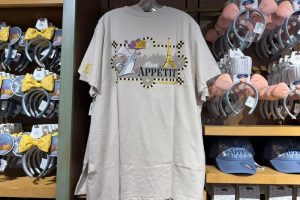 Elevate Your Collection: Ratatouille Merchandise Worth Investing In Elevate Your Collection: Ratatouille Merchandise Worth Investing In